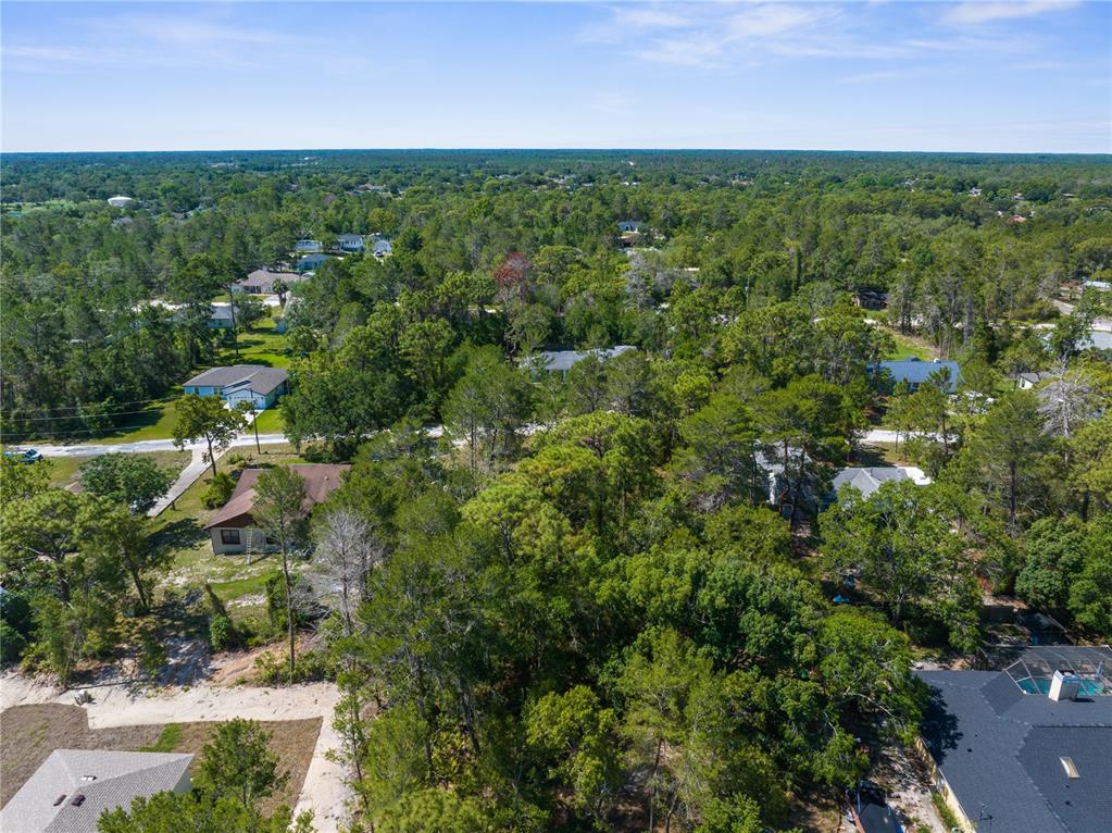 0 Carrie Way Weeki Wachee, FL 34613 - Photo 6 of 9 an aerial view of residential houses with outdoor space and trees