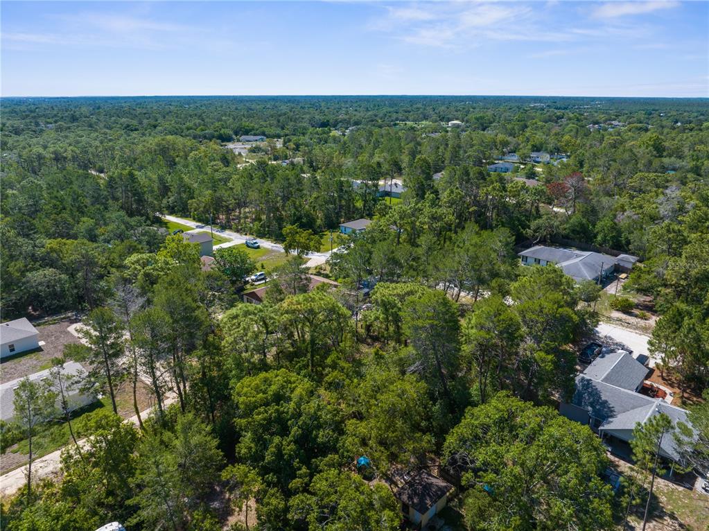 0 Carrie Way Weeki Wachee, FL 34613 - Photo 7 of 9 an aerial view of residential houses with outdoor space and trees