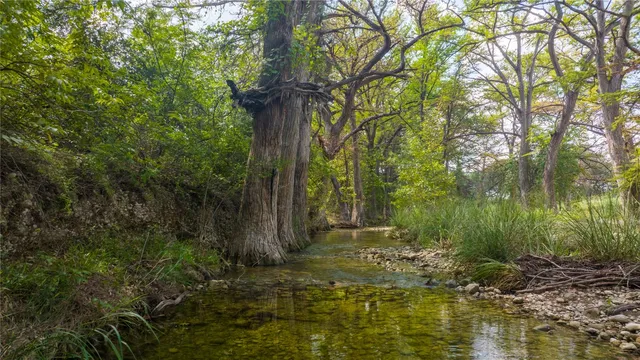 a view of backyard with green space