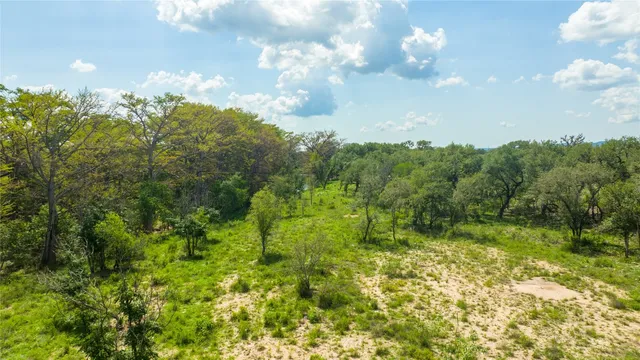 a view of a big yard with lots of green space