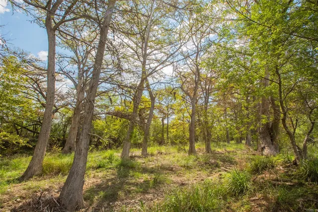 a yard with trees in the background