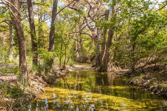 a view of a yard with a tree