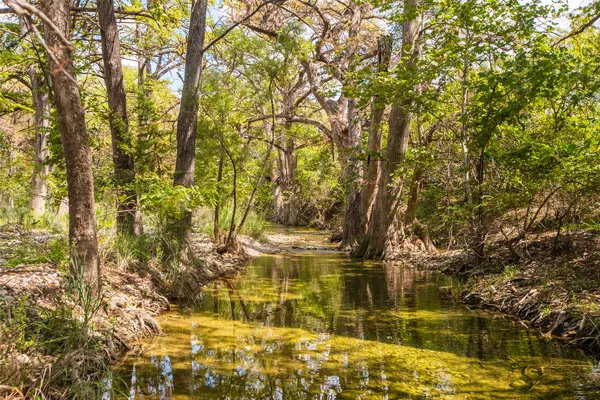 $850,000 | Undisclosed Address, Utopia, TX 78884