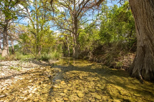 a backyard of a house with large trees