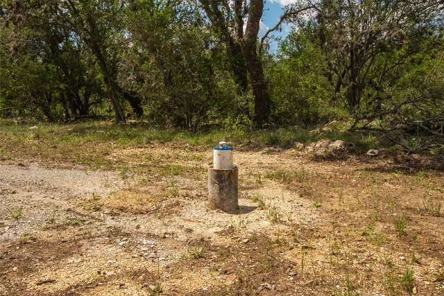 a view of a water fountain with large trees