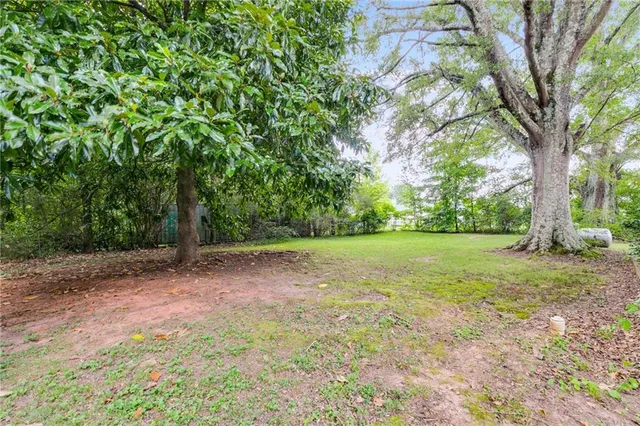 a view of a yard with a tree