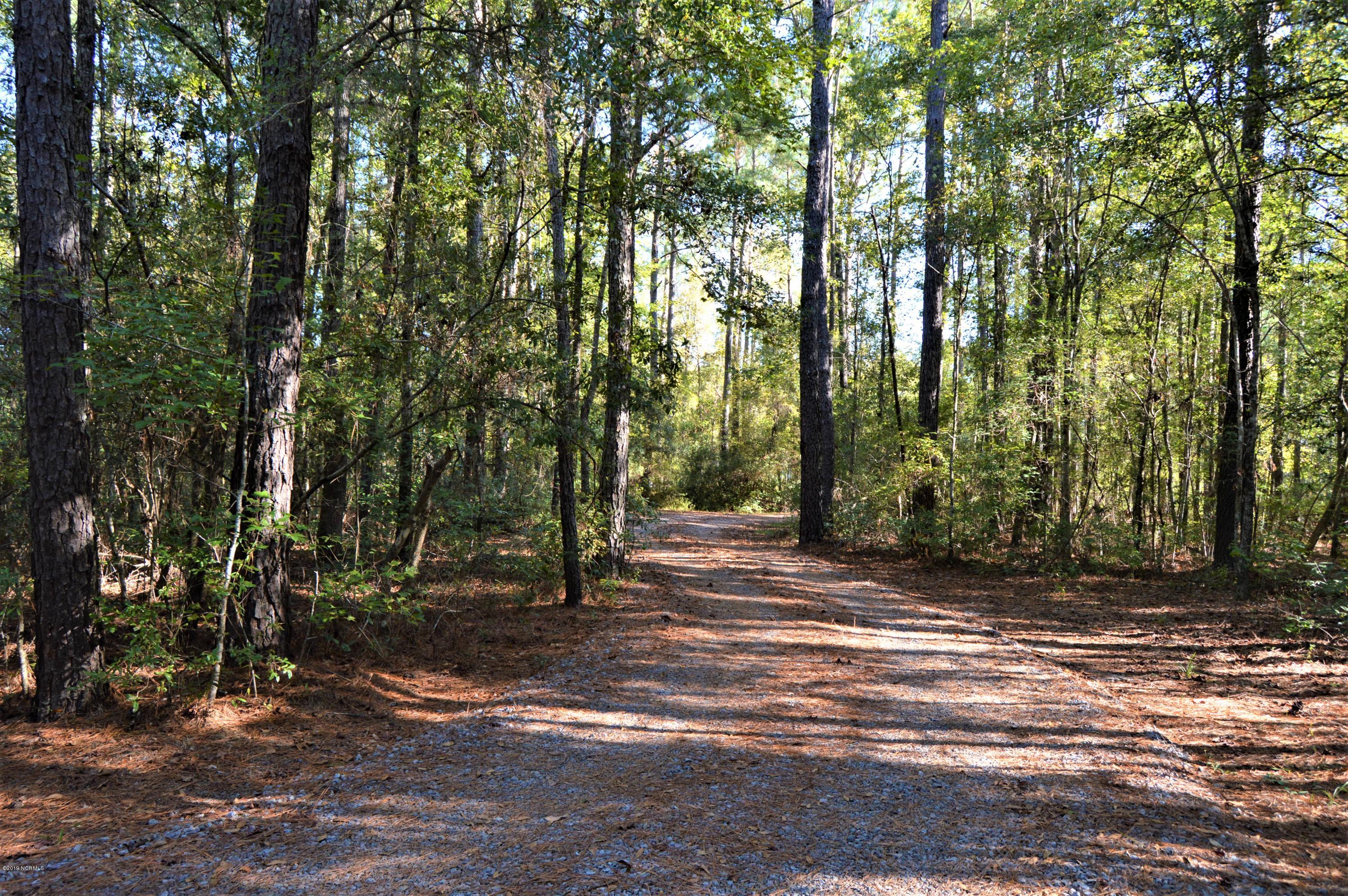 4938 Bell Williams Road Currie, NC 28435 - Photo 34 of 44 Driveway