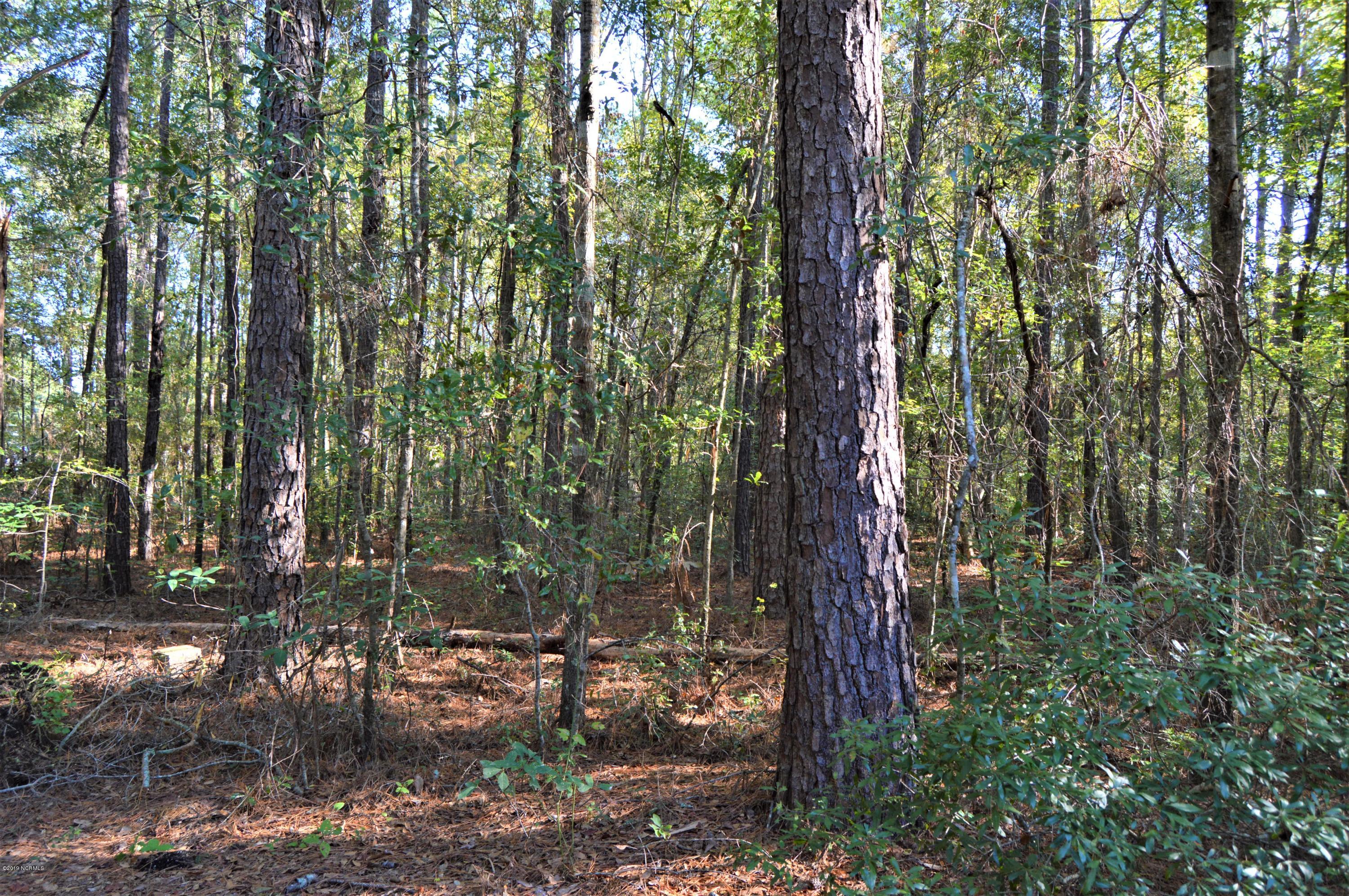 4938 Bell Williams Road Currie, NC 28435 - Photo 36 of 44 Woods 2