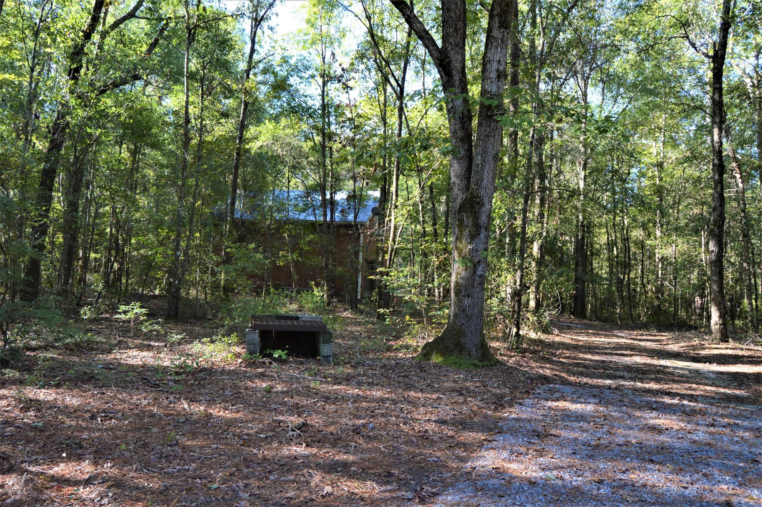 4938 Bell Williams Road Currie, NC 28435 - Photo 37 of 44 Path to garage apartment