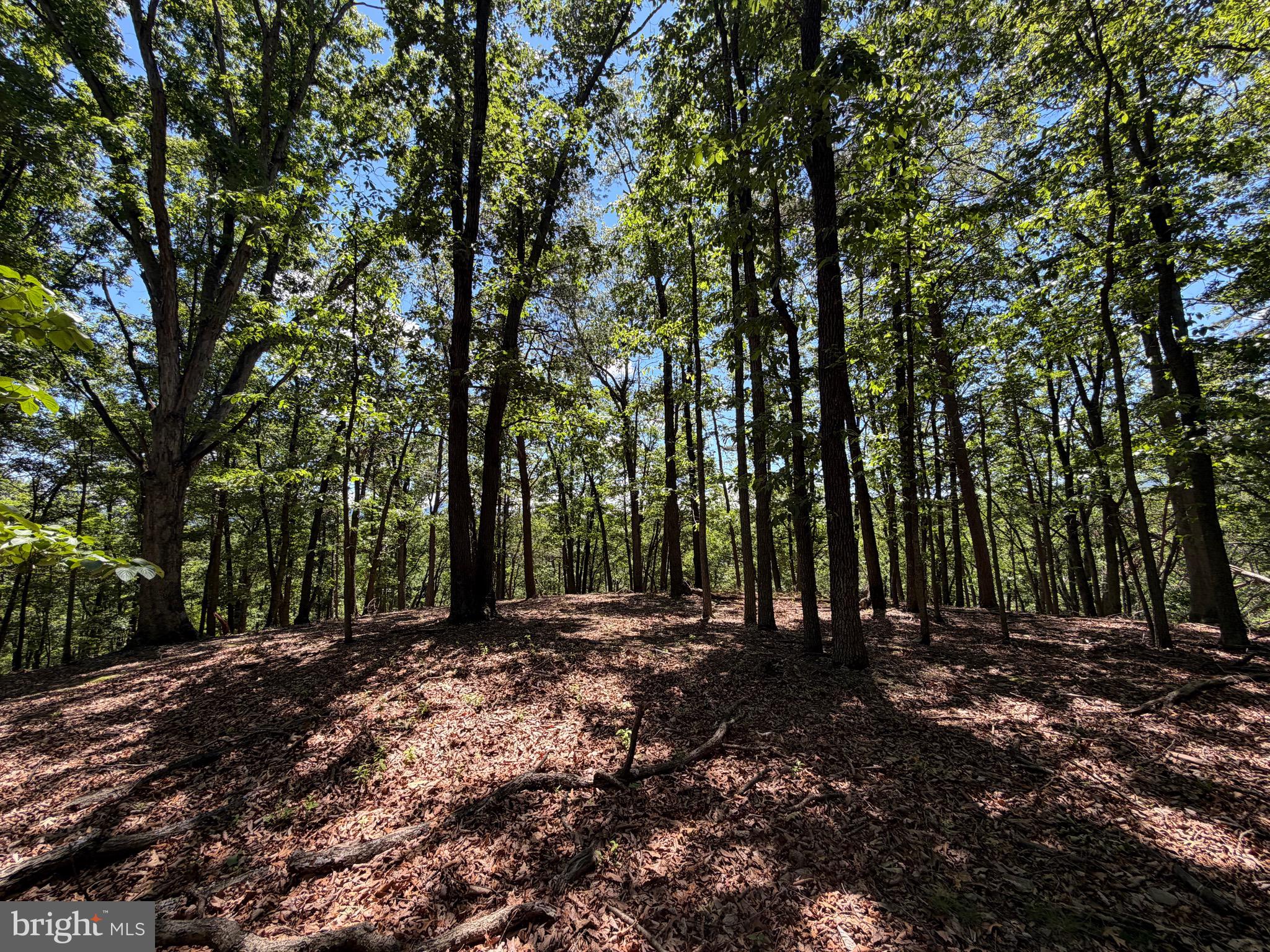 511 Chickadee Road Purgitsville, WV 26852 - Photo 45 of 99