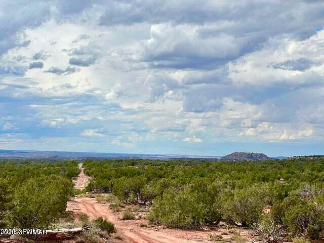 8990 Buffalo Ridge Snowflake, AZ 85937 - Photo 1 of 18