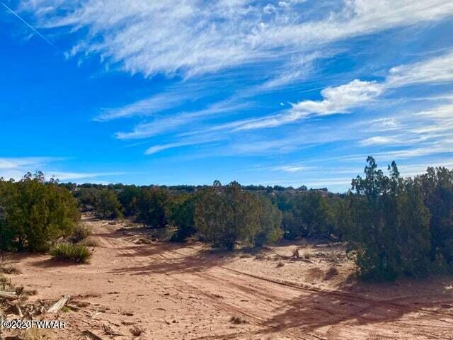 8990 Buffalo Ridge Snowflake, AZ 85937 - Photo 11 of 18