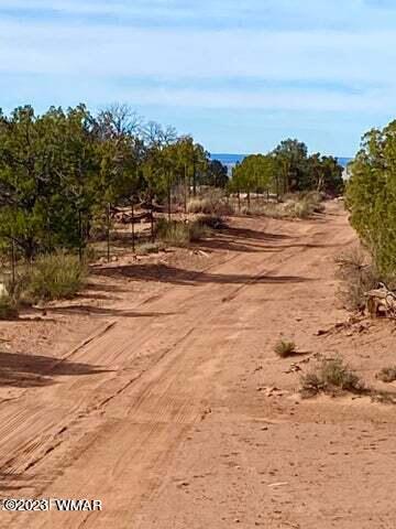 8990 Buffalo Ridge Snowflake, AZ 85937 - Photo 12 of 18