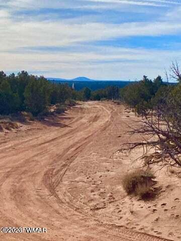 8990 Buffalo Ridge Snowflake, AZ 85937 - Photo 13 of 18