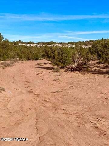 8990 Buffalo Ridge Snowflake, AZ 85937 - Photo 14 of 18