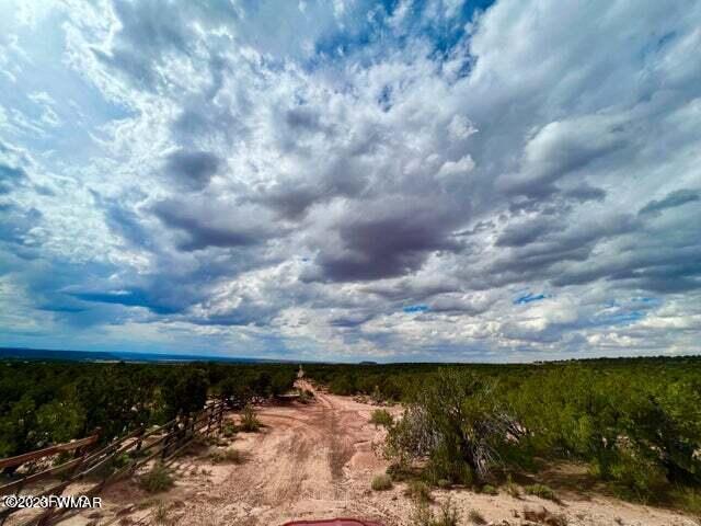 8990 Buffalo Ridge Snowflake, AZ 85937 - Photo 15 of 18
