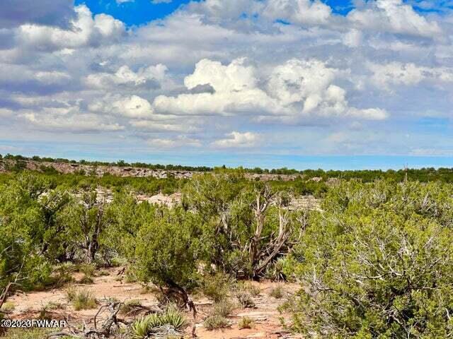 8990 Buffalo Ridge Snowflake, AZ 85937 - Photo 16 of 18