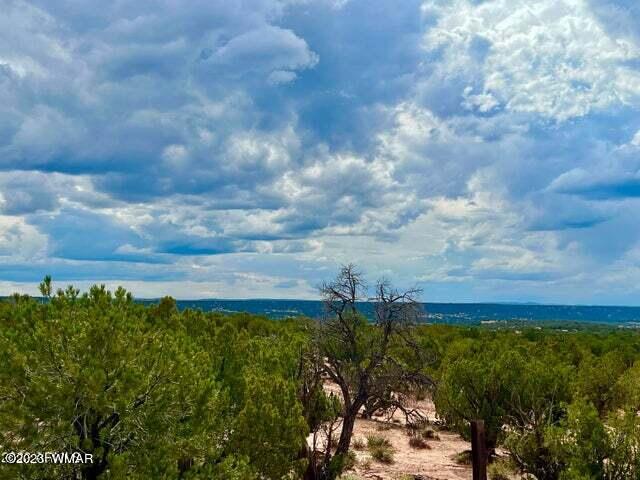 8990 Buffalo Ridge Snowflake, AZ 85937 - Photo 17 of 18