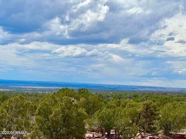 8990 Buffalo Ridge Snowflake, AZ 85937 - Photo 18 of 18