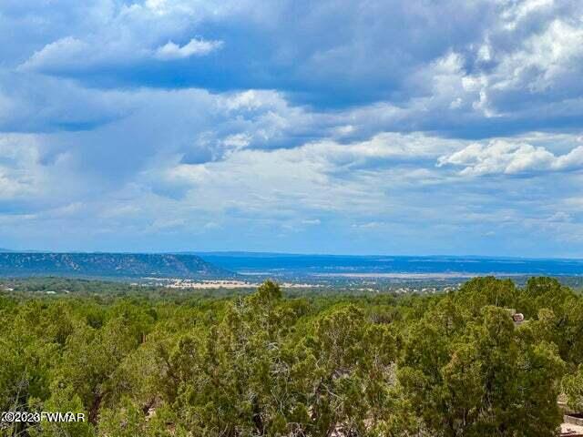 8990 Buffalo Ridge Snowflake, AZ 85937 - Photo 2 of 18