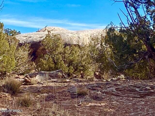 8990 Buffalo Ridge Snowflake, AZ 85937 - Photo 3 of 18