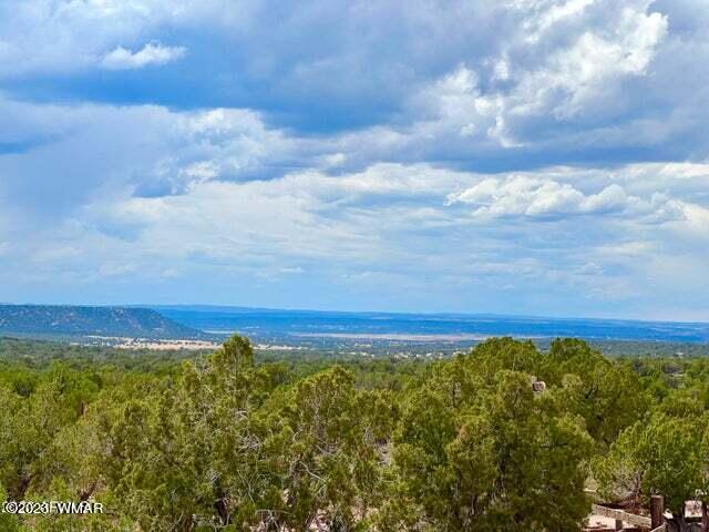8990 Buffalo Ridge Snowflake, AZ 85937 - Photo 5 of 18