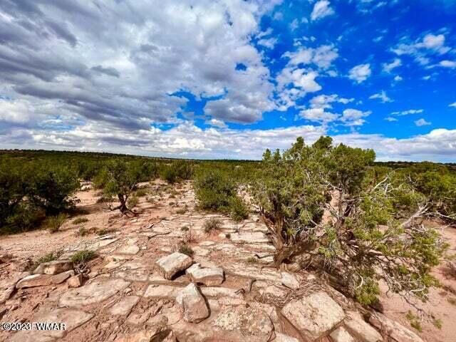 8990 Buffalo Ridge Snowflake, AZ 85937 - Photo 6 of 18