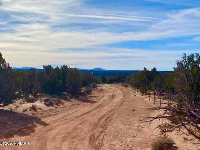 8990 Buffalo Ridge Snowflake, AZ 85937 - Photo 7 of 18