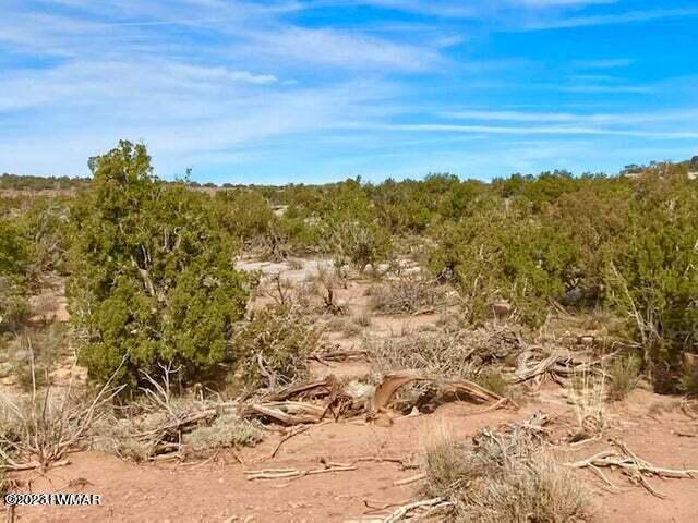8990 Buffalo Ridge Snowflake, AZ 85937 - Photo 10 of 18