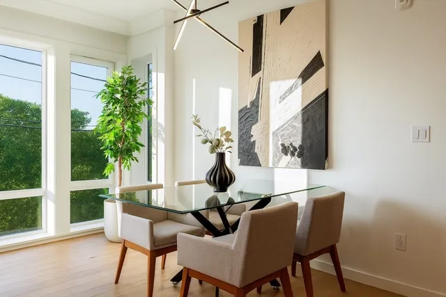 a view of a dining room with furniture wooden floor and a potted plant