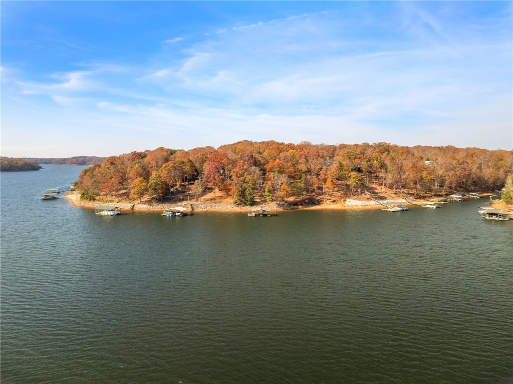 231 Perry Circle Townville, SC 29689 - Photo 32 of 35