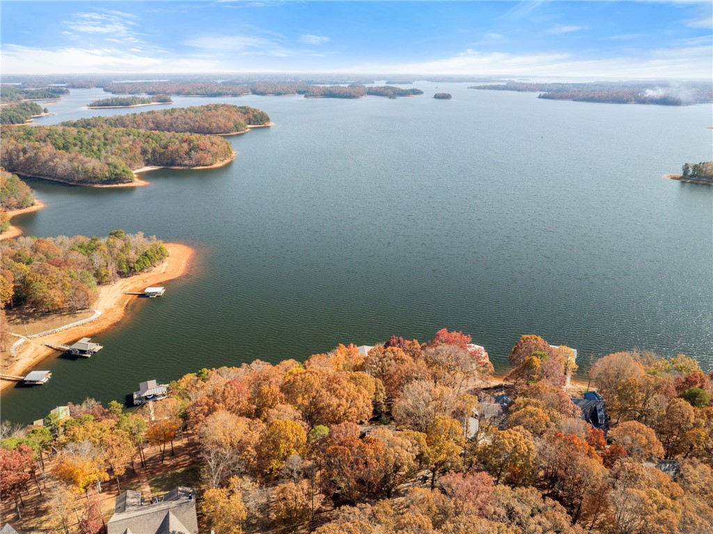 231 Perry Circle Townville, SC 29689 - Photo 33 of 35