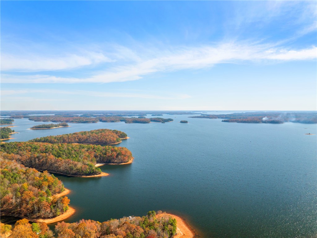 231 Perry Circle Townville, SC 29689 - Photo 35 of 35