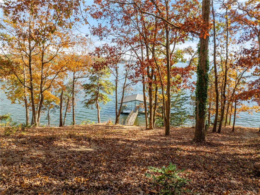 231 Perry Circle Townville, SC 29689 - Photo 5 of 35