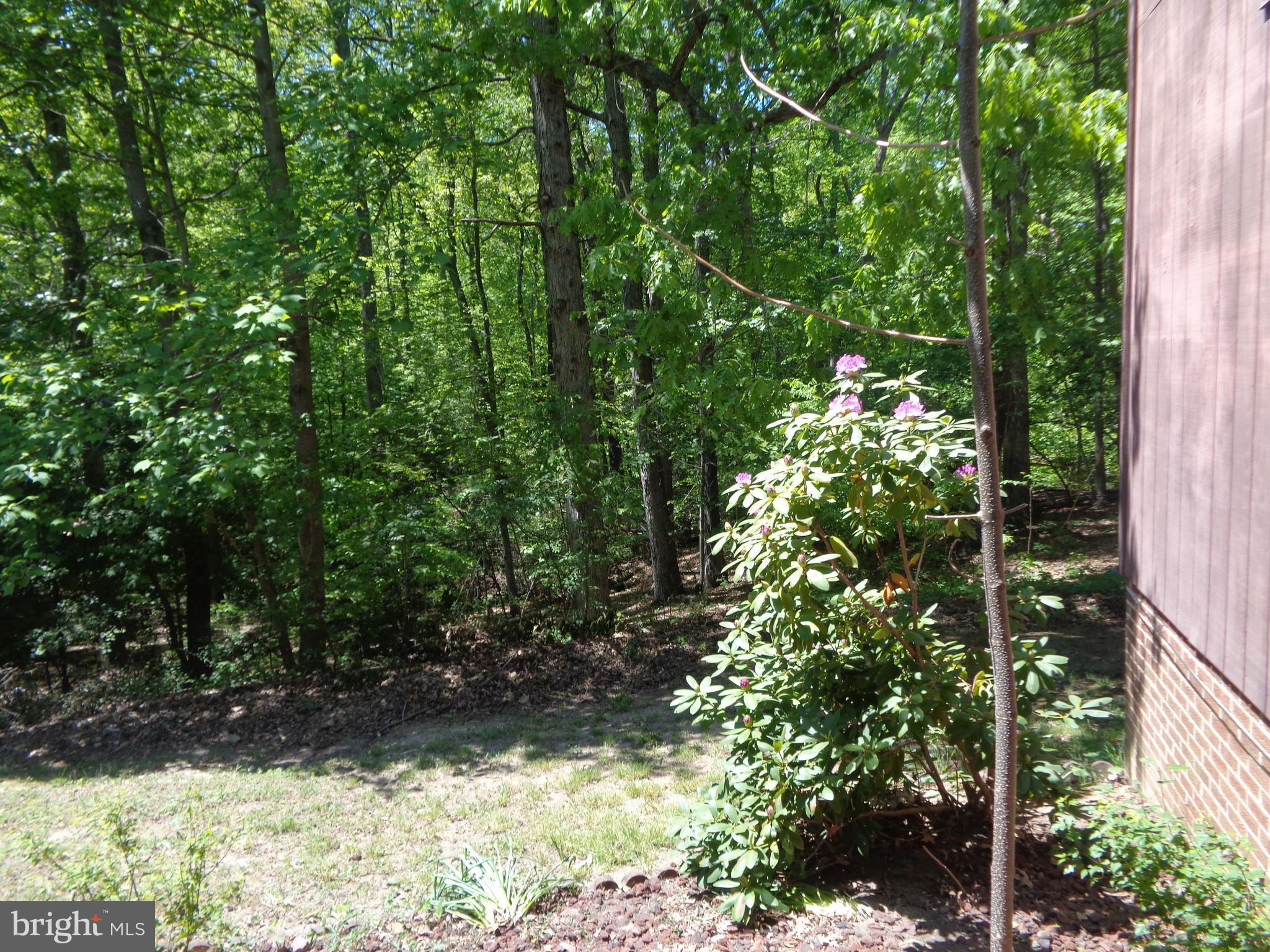 19320 Croom Road Aquasco, MD 20608 - Photo 20 of 29 Exterior (Rear)