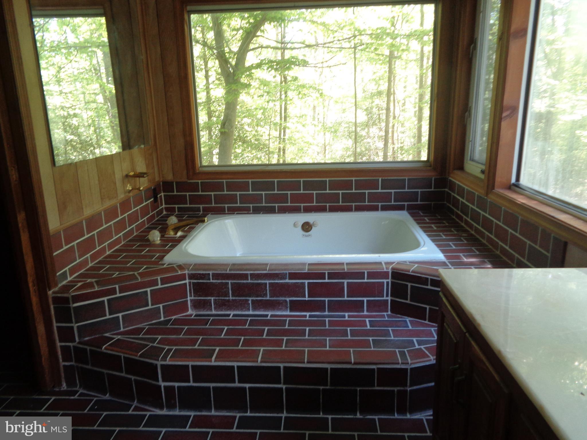 19320 Croom Road Aquasco, MD 20608 - Photo 10 of 29 Bath (Master)