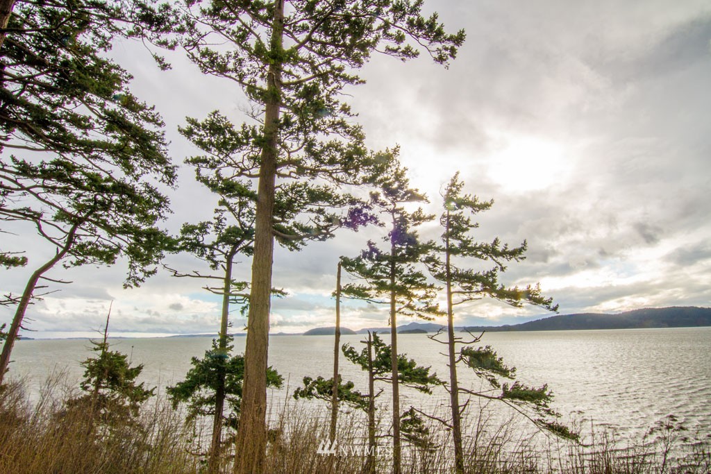 10197 Samish Island Road Bow, WA 98232 - Photo 1 of 24 Gallery Image 1