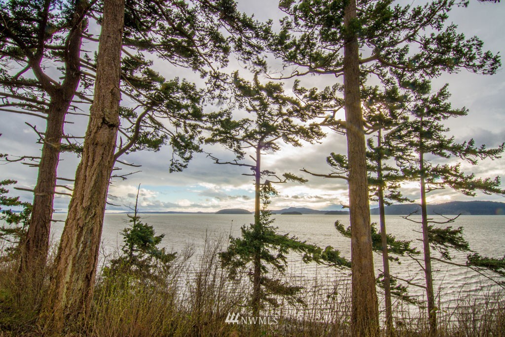 10197 Samish Island Road Bow, WA 98232 - Photo 3 of 24 Gallery Image 3