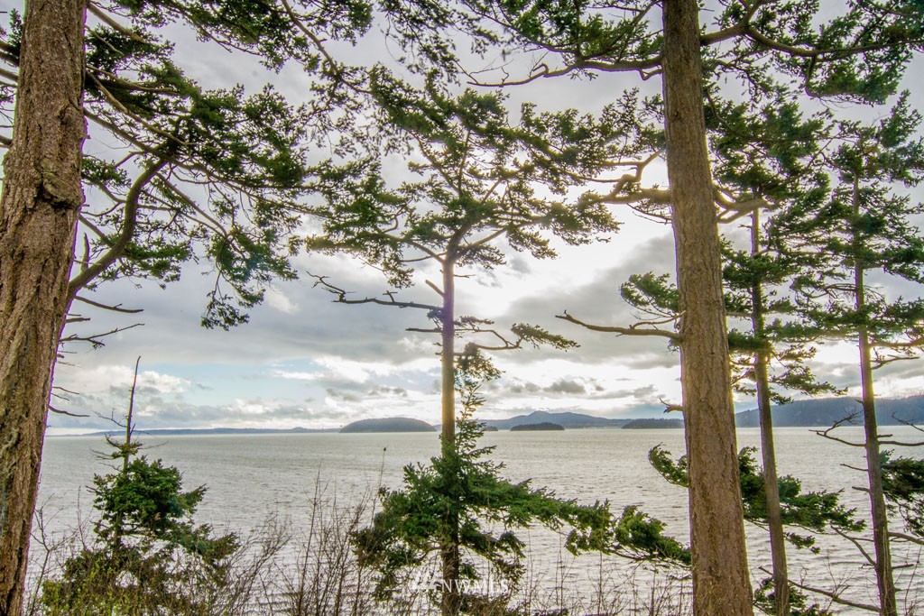 10197 Samish Island Road Bow, WA 98232 - Photo 10 of 24 Gallery Image 10