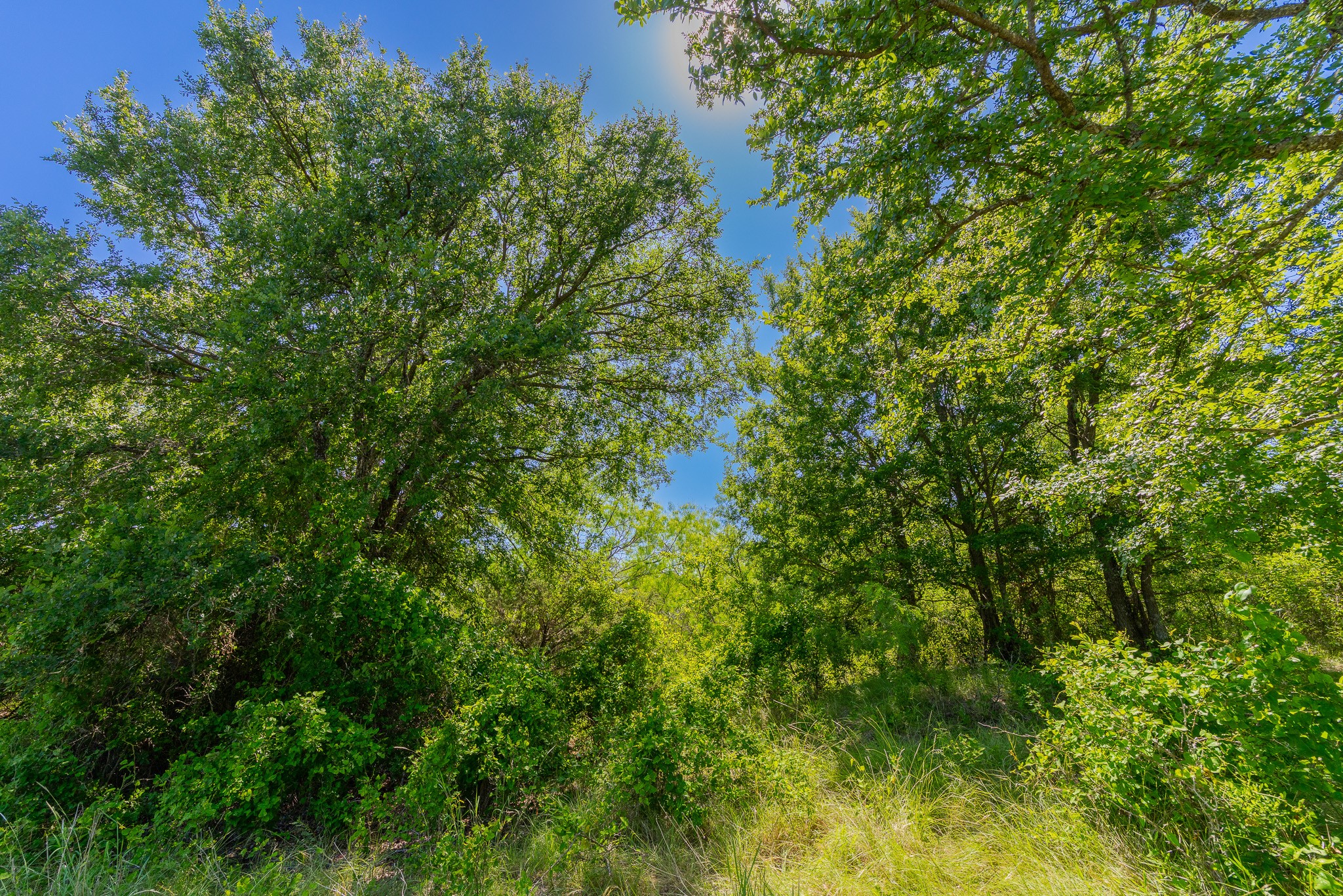 180 Covered Meadows Ranch Road Purmela, TX 76566 - Photo 17 of 21