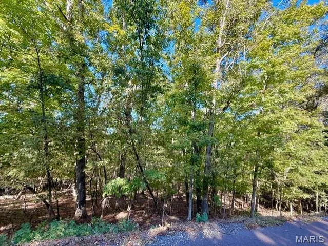 $6,000 | 2016 Heather Drive, Lake Sherwood, MO 63357