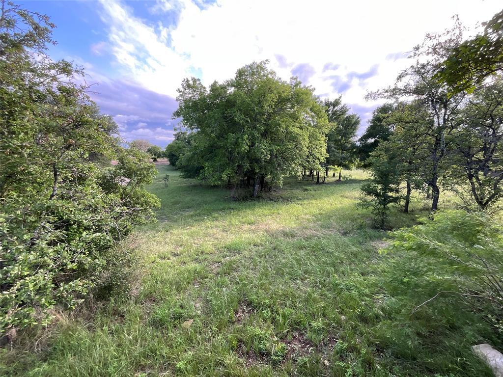 999 West Boynton Street Hamilton, TX 76531 - Photo 6 of 26 a view of a lush green space