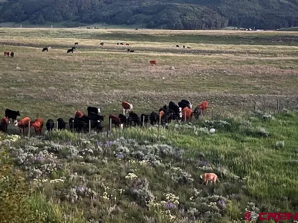 $325,000 | 88 Bridle Spur Way, Crested Butte, CO 81224