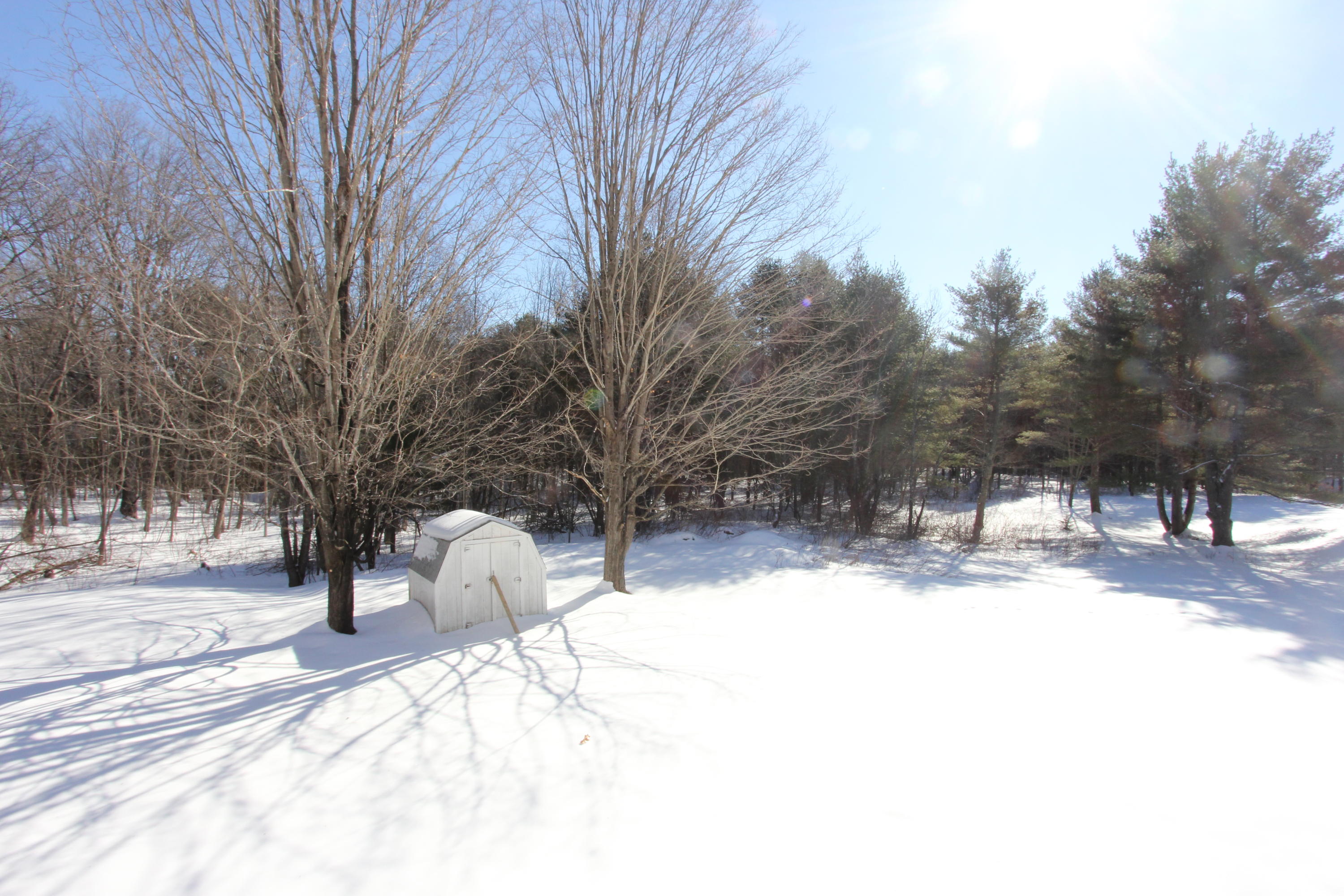 82 Lisbon Road Sabattus, ME 04280 - Photo 31 of 38 Back Yard