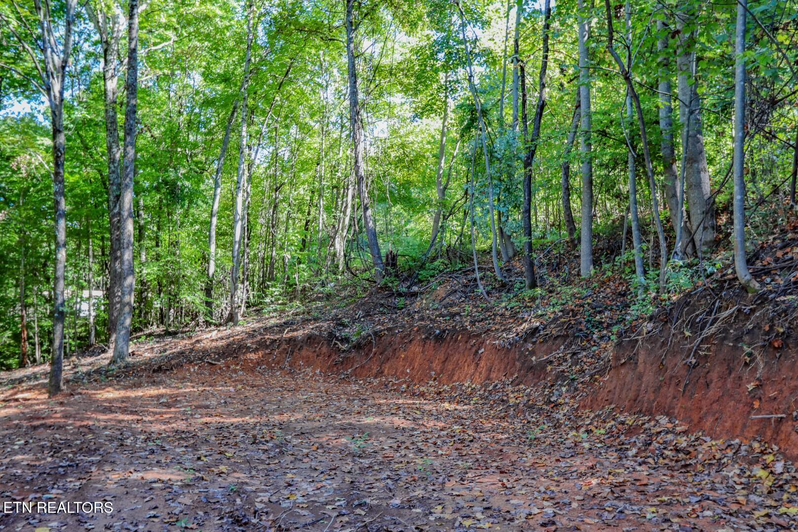 1272 Applewood Road Newport, TN 37821 - Photo 11 of 18 11