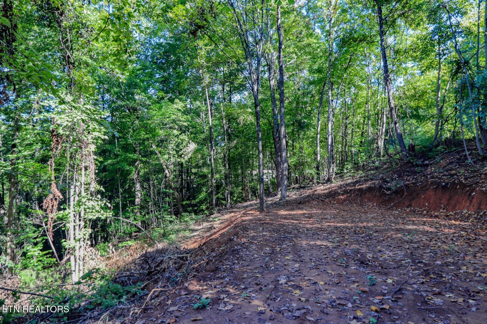 1272 Applewood Road Newport, TN 37821 - Photo 12 of 18 12