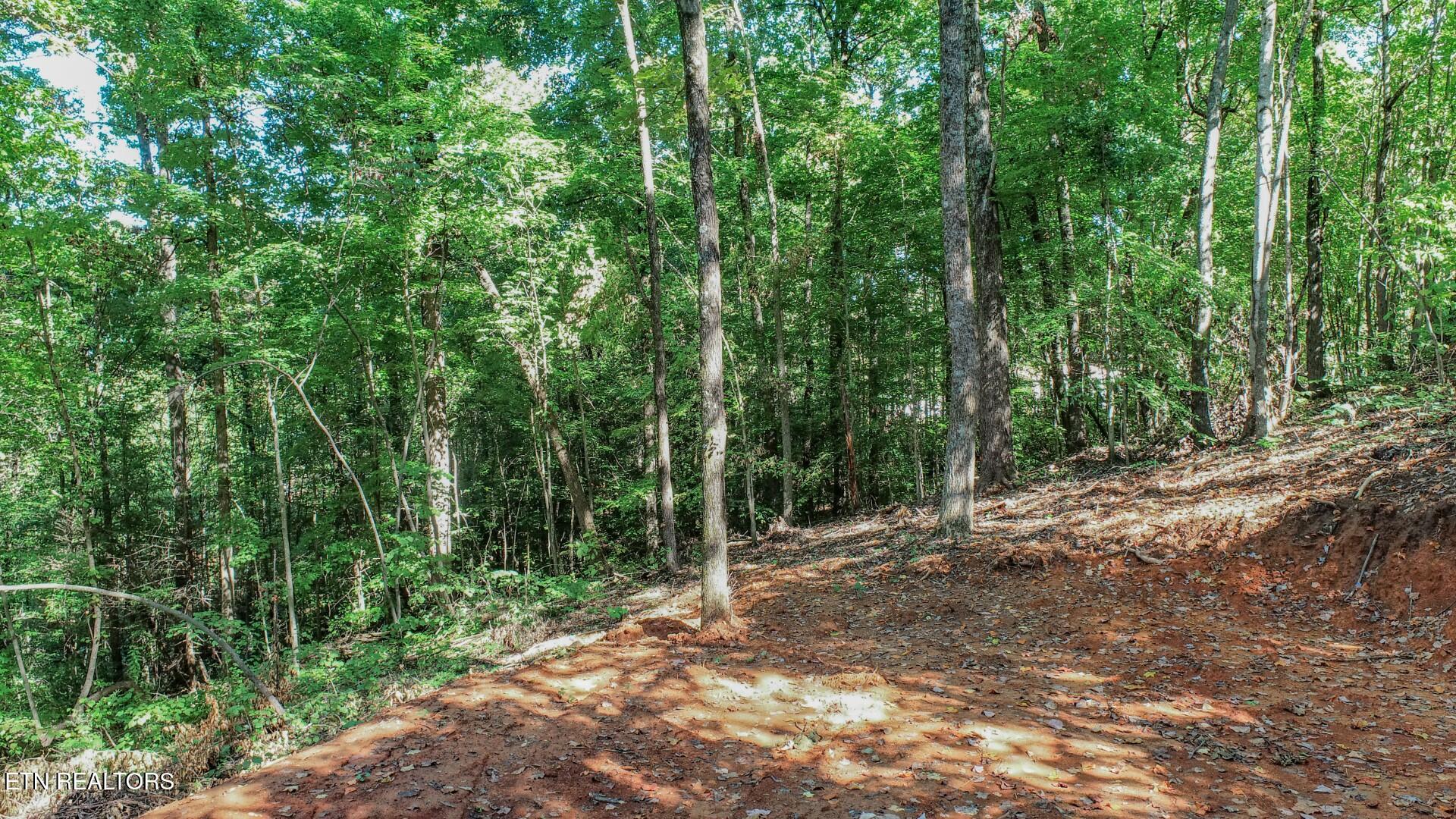 1272 Applewood Road Newport, TN 37821 - Photo 13 of 18 13