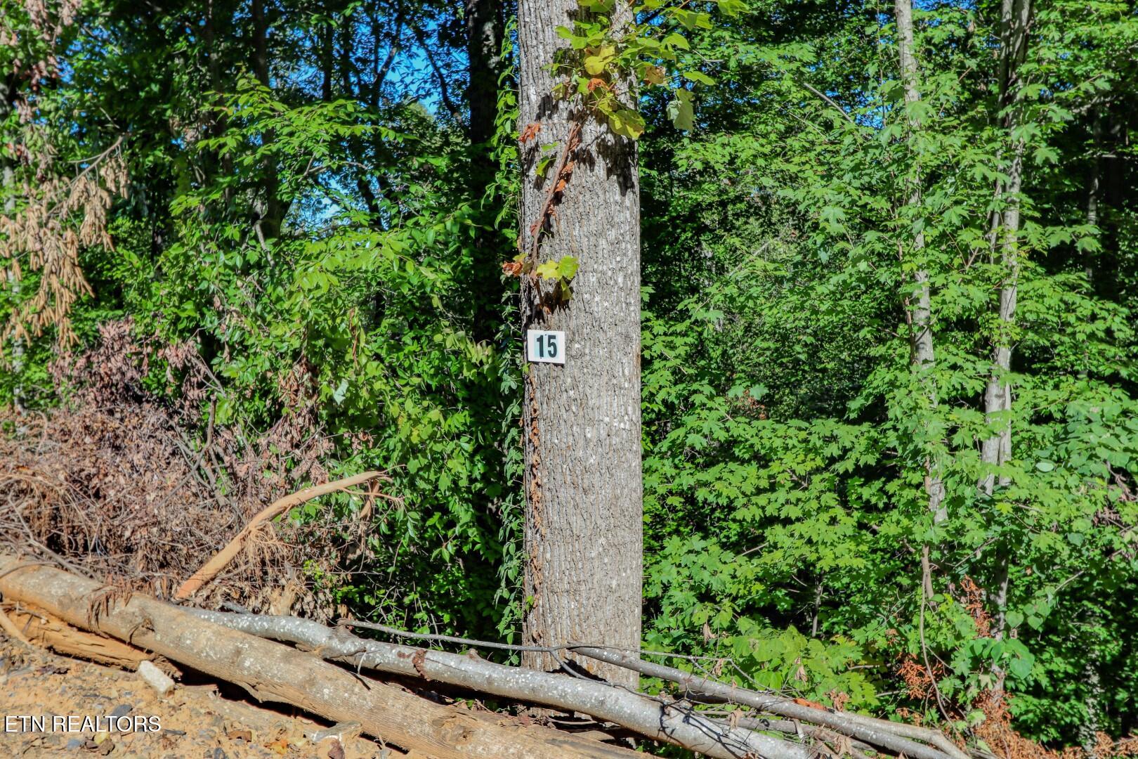 1272 Applewood Road Newport, TN 37821 - Photo 16 of 18 16