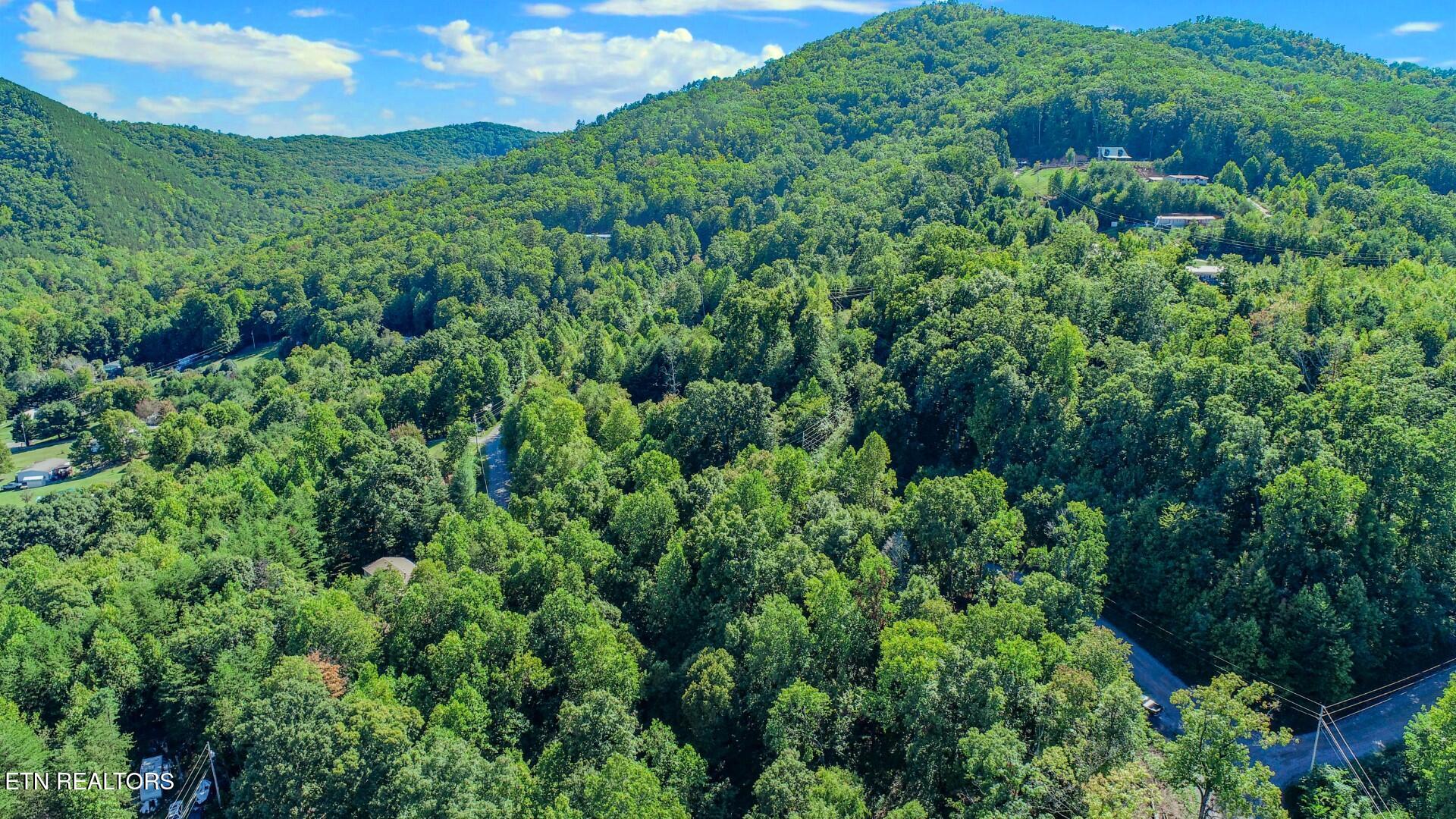 1272 Applewood Road Newport, TN 37821 - Photo 3 of 18 3