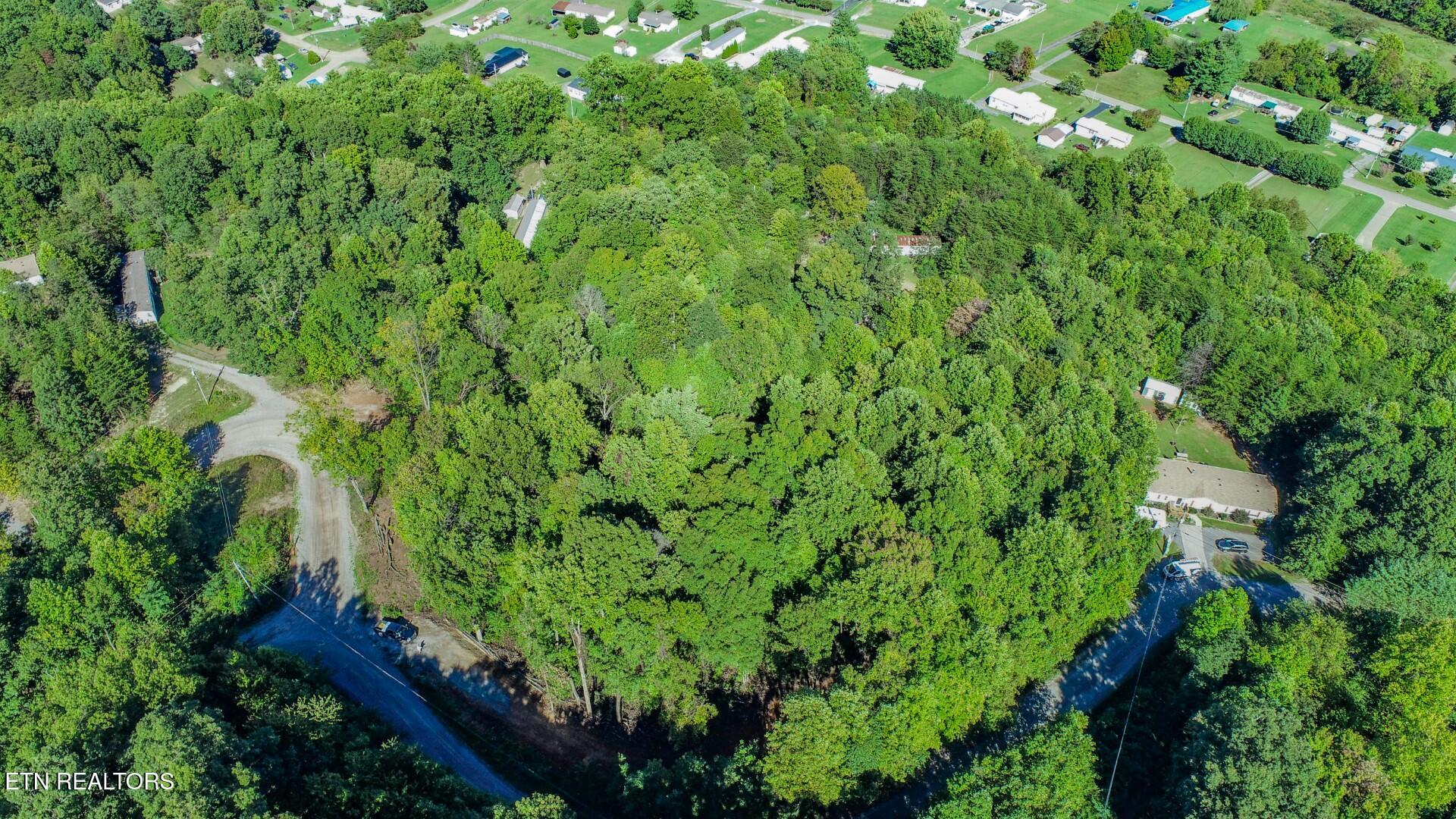 1272 Applewood Road Newport, TN 37821 - Photo 5 of 18 5